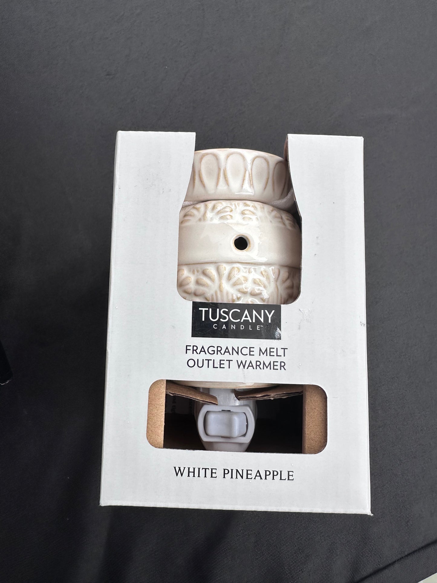 Wall Plug Wax Warmer